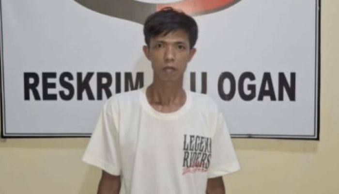 Polsek Ulu Ogan Tangkap Pelaku Pencurian Hewan Ternak
